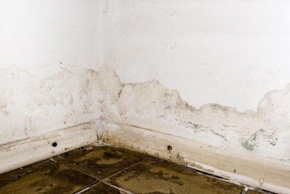 4 Great Tips for Preventing Mold in Your Bathroom as Summer Continues